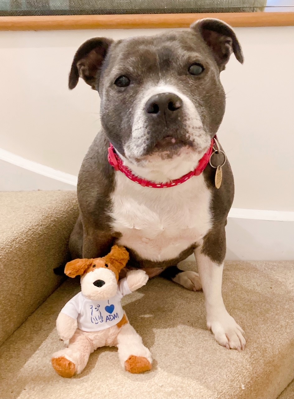 ADM ‘Adam’ Teddy