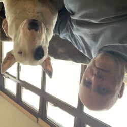 Sadly passed, after being rescued from China in 2019 - 11/05/2021