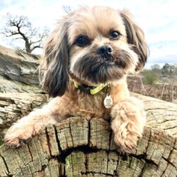 2023 - loved by Alec and Jacks