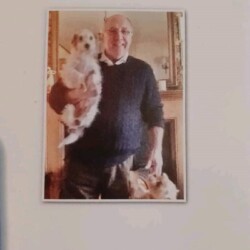 September 1945 - May 2021